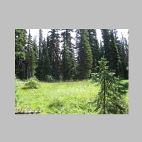 MtHoodHike 21Aug2014 014.jpg